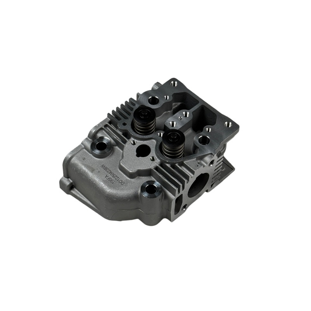 Conjunto de culata 192F 195F